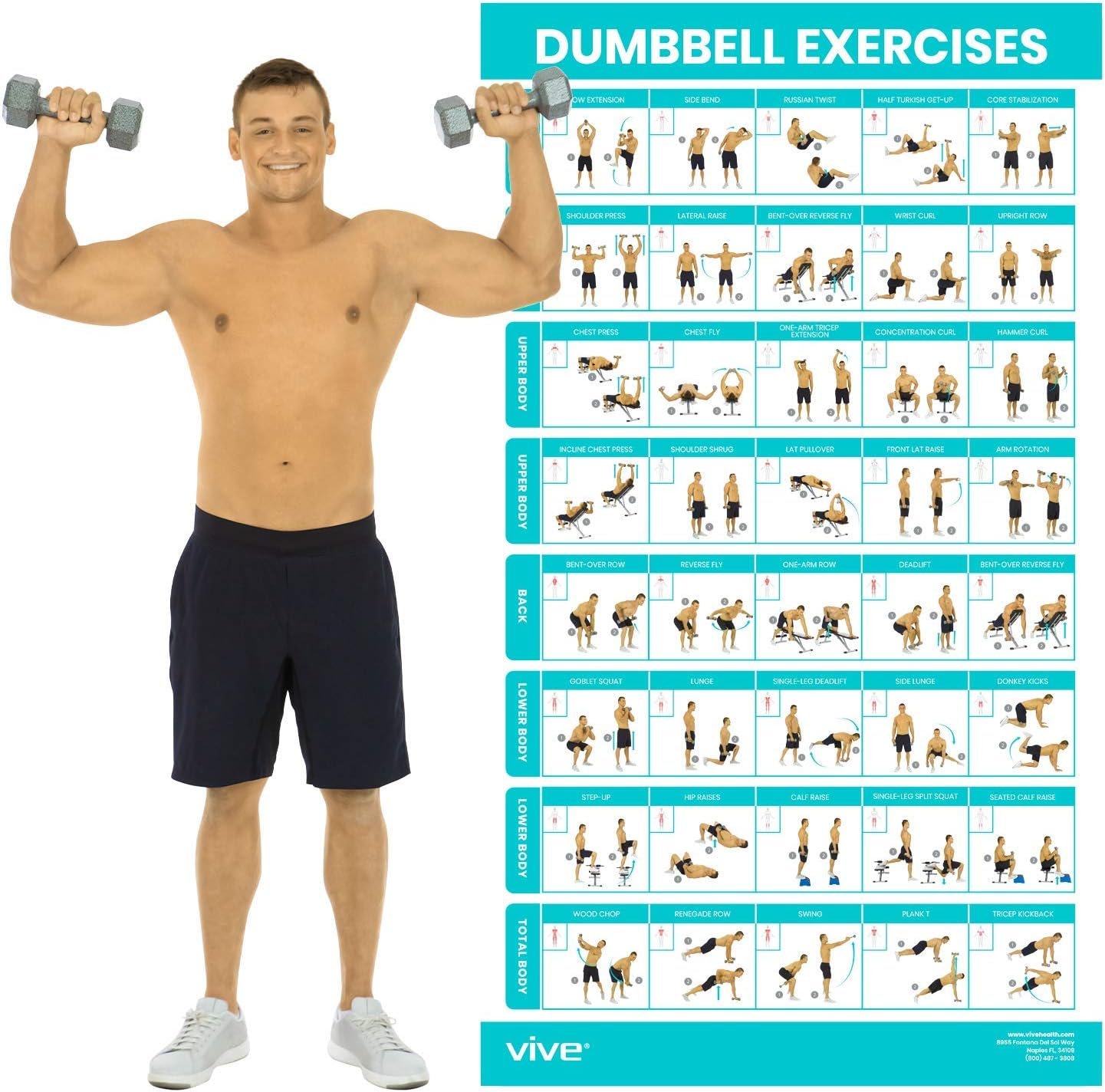 Vive Dumbbell Workout Poster – Home Gym Exercise for Upper, Lower, Full Body – Laminated Bodyweight Chart for Back, Arm, Core and Legs – Free Weight Building Guide For Men, Women, Elderly (30″ x 17″)